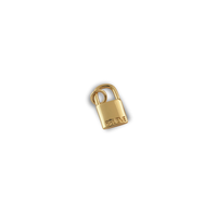 The Believe Lock Charm charm by Nashira, shown close up
