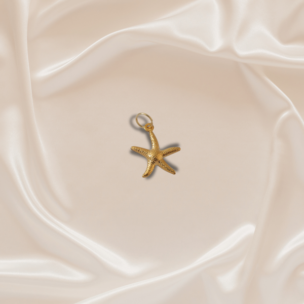 The Ocean Star Charm