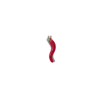 The Teekhi Mirchi Charm charm by Nashira, shown close up