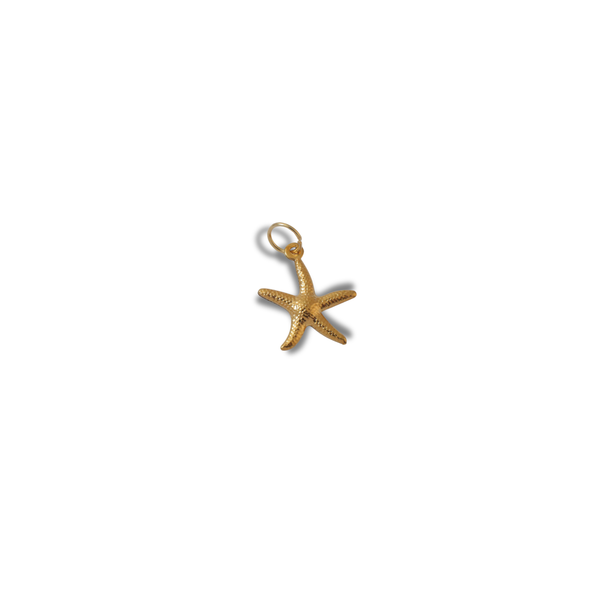 The Ocean Star Charm