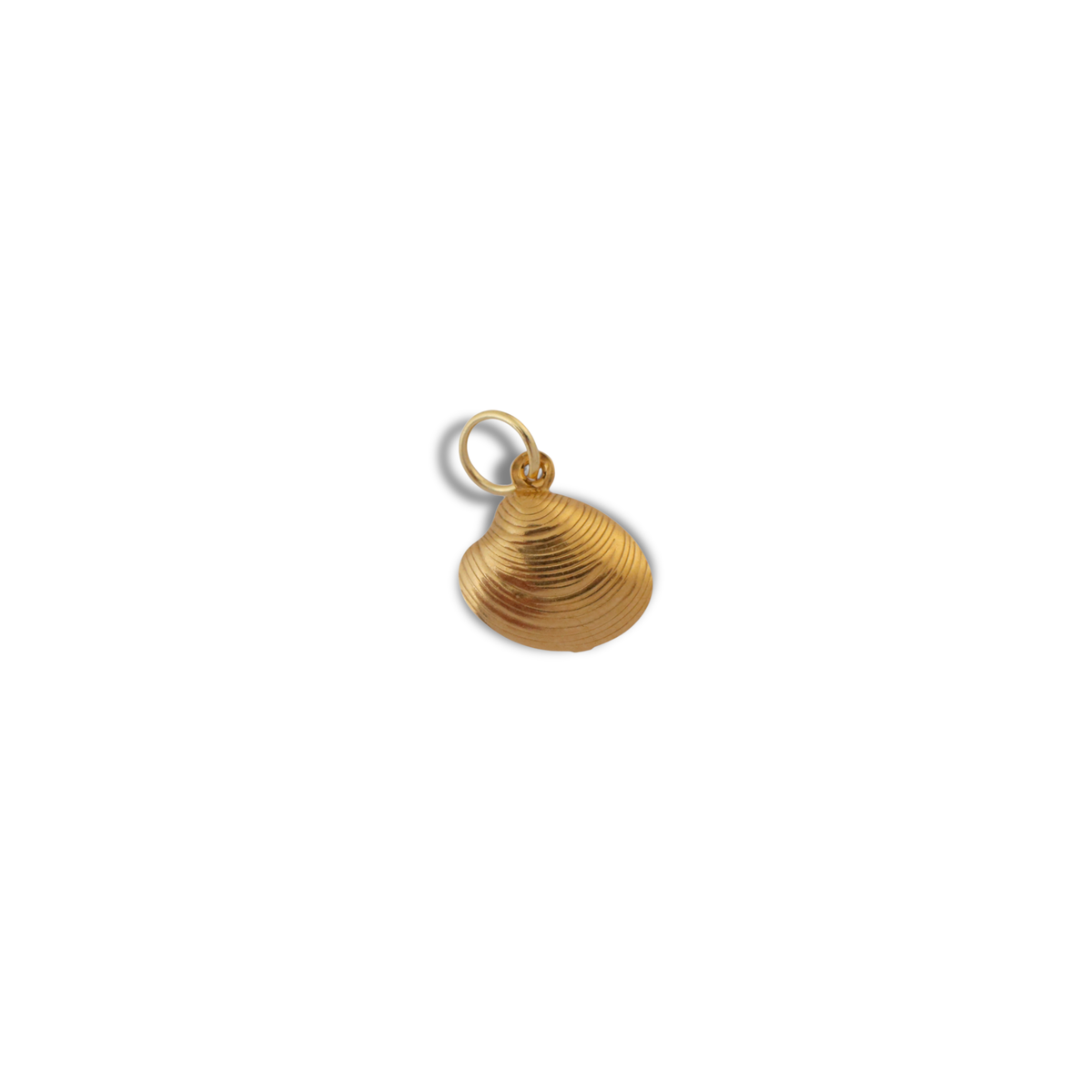 The Golden Shell Charm charm by Nashira, shown close up