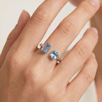Twin Sapphire Ring - Stainless Steel ring by Nashira