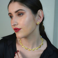 Airavat Combo - Nashira Barkat collection