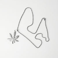 The Botanist Chain