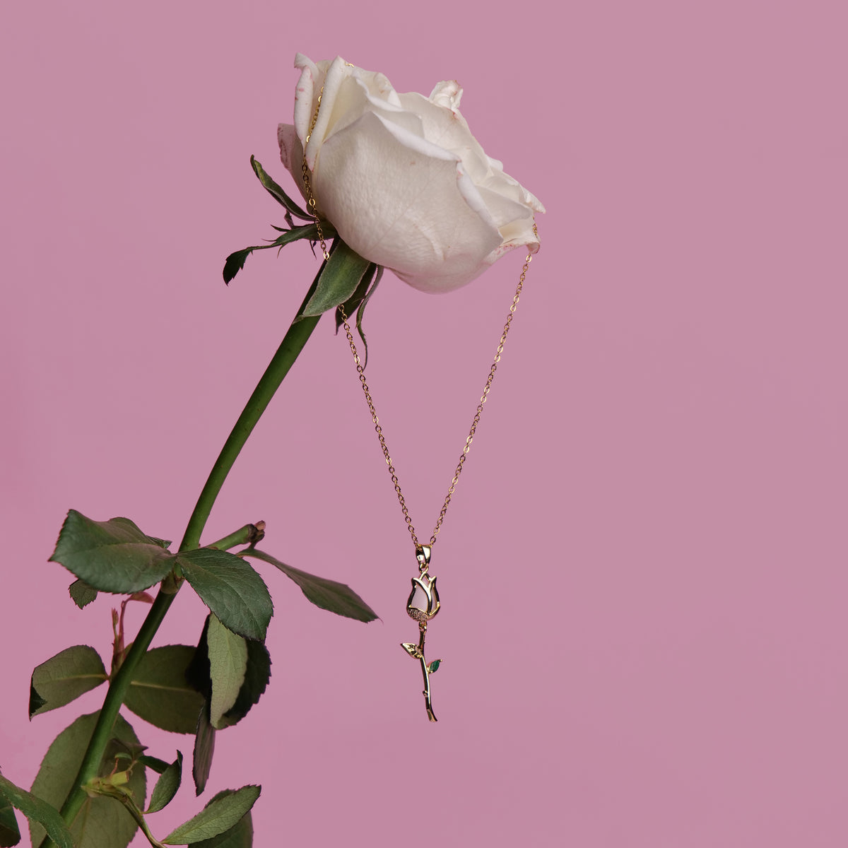 A Rose For A Rose Pendant with Chain necklace by Nashira, shown close up