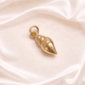 The Shell Charm