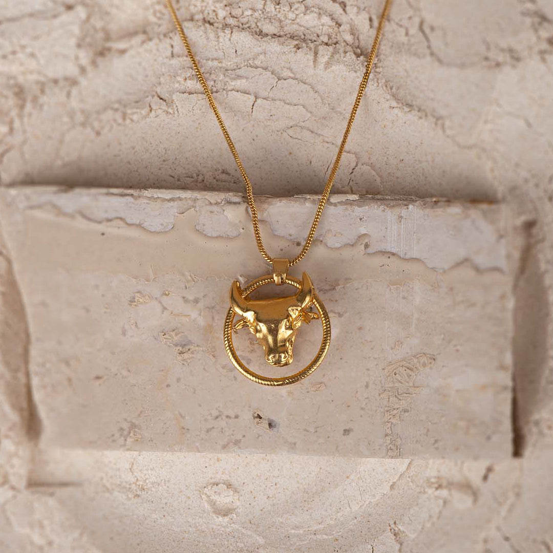 Bull in a Ring Pendant with Necklace - Stainless Steel necklace by Nashira
